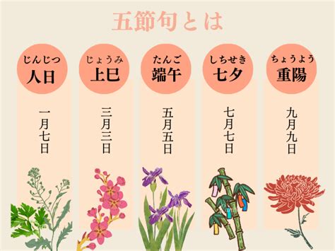 九菊|9月9日重陽（菊）の節句とは 菊を楽しむ意味と由来。